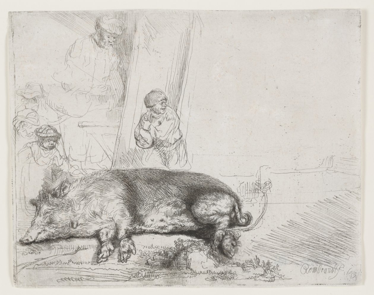 O porco de Rembrandt van Rijn