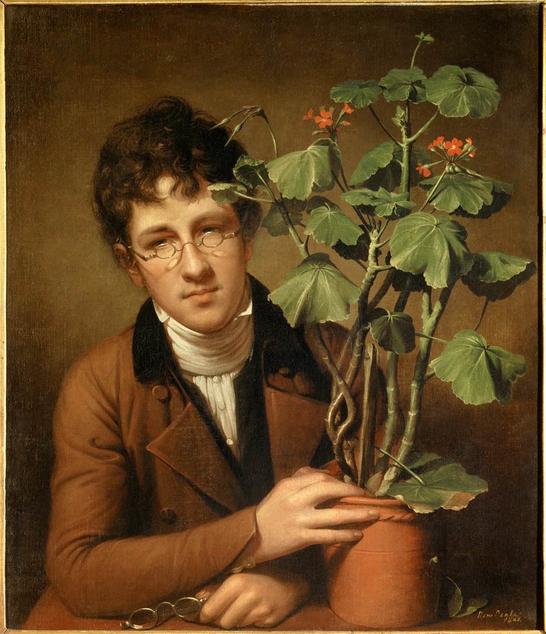 Retrato do pintor Rubens Peale (1784-1864) no gerânio Pintura de Rembrandt Peale (1778-1860) (ec.amer.) 1801 Coleção privee - Retrato do pintor Rubens Peale (1784-1864) com gerânio - Pintura de Rembrandt Peale (1778-1860), óleo sobre de Rembrandt Peale