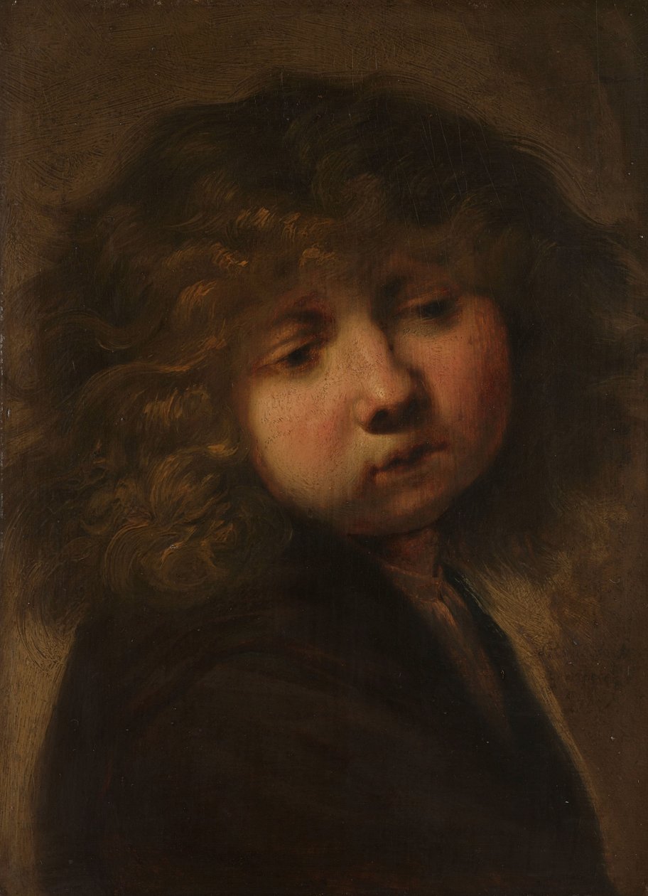 Cabeça de um Rapaz de Rembrandt van Rijn (circle of)