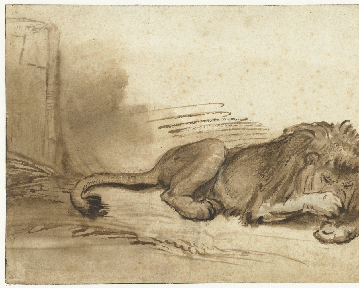 Leão reclinado com a pata dianteira sobre o focinho de Rembrandt van Rijn (school of)