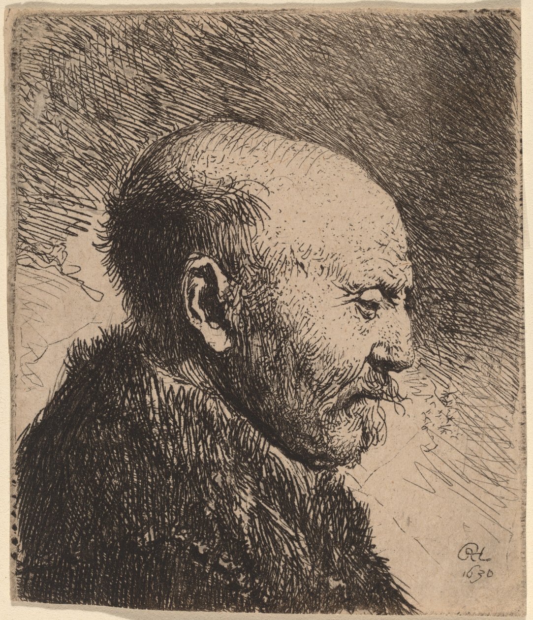 Um homem careca de perfil (o pai do artista?) de Rembrandt van Rijn