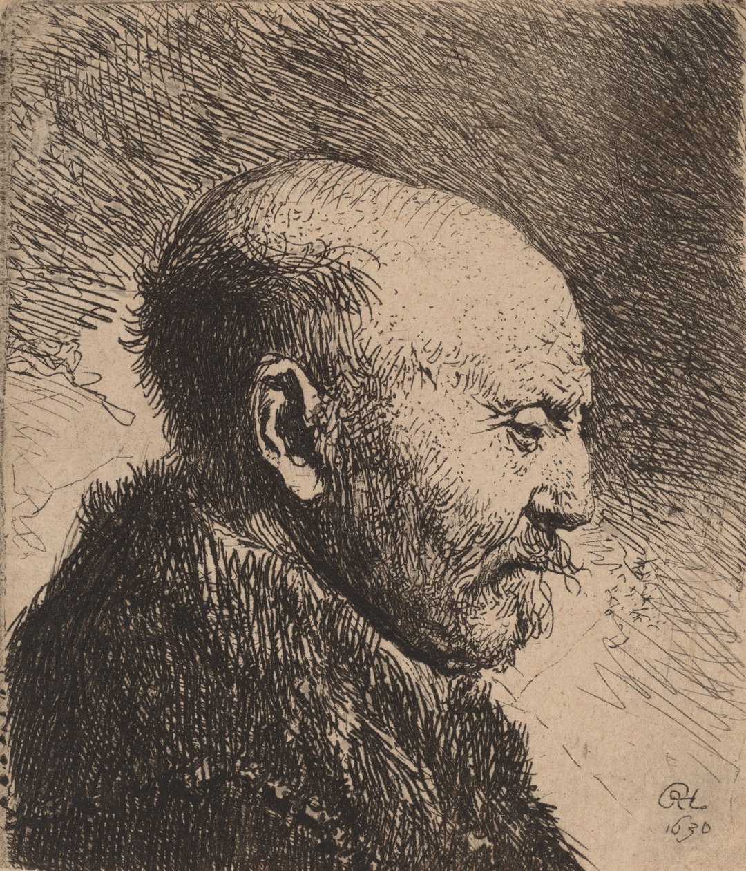 Um homem careca no perfil do pai do artista, 1630. de Rembrandt van Rijn