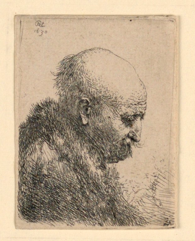 Homem careca no perfil direito: busto pequeno; O pai do artista? de Rembrandt van Rijn