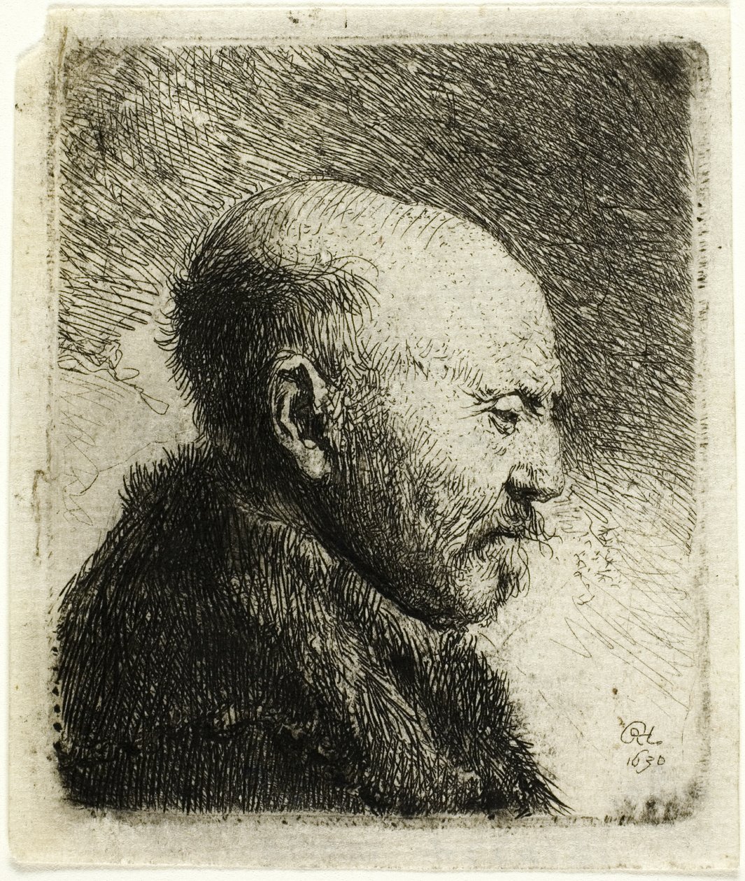 Homem careca de perfil à direita: O pai do artista () de Rembrandt van Rijn