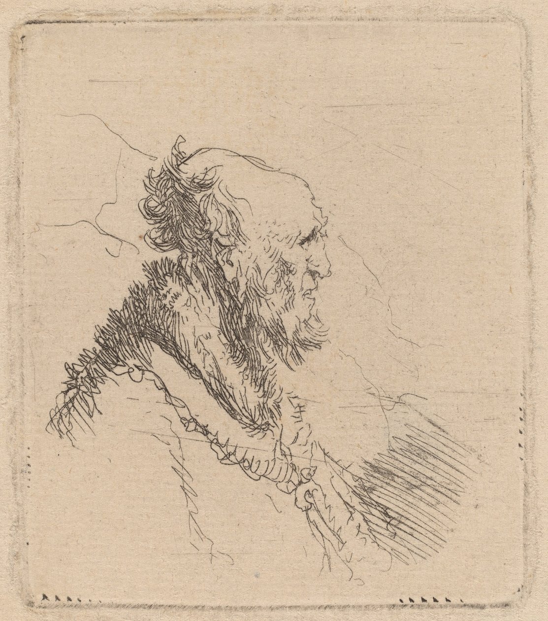 Velho careca com barba curta no perfil de Rembrandt van Rijn