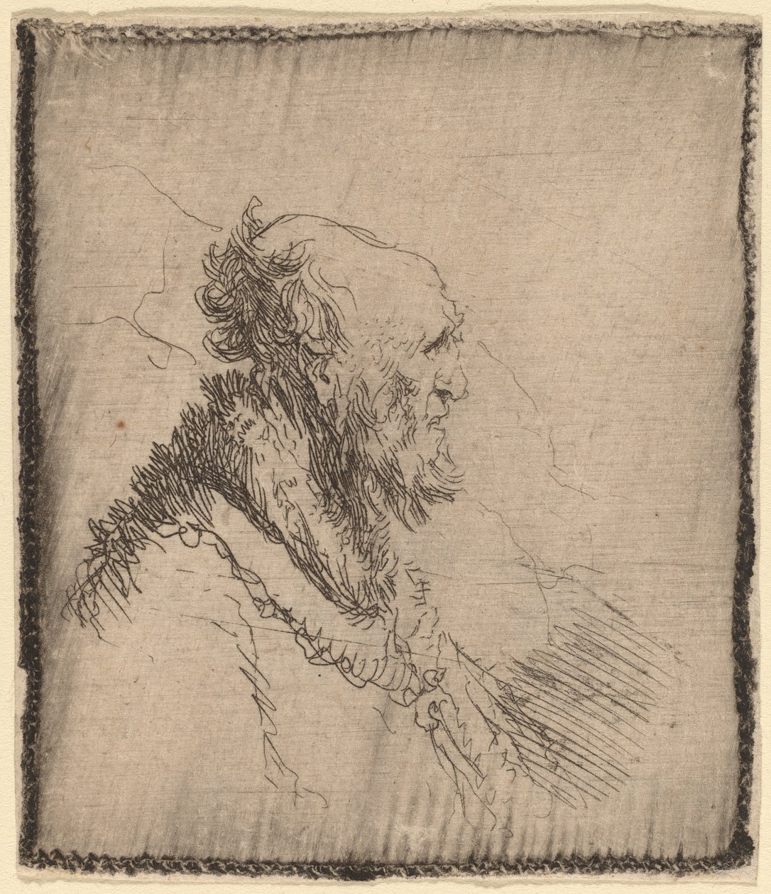 Velho careca com barba curta no perfil de Rembrandt van Rijn