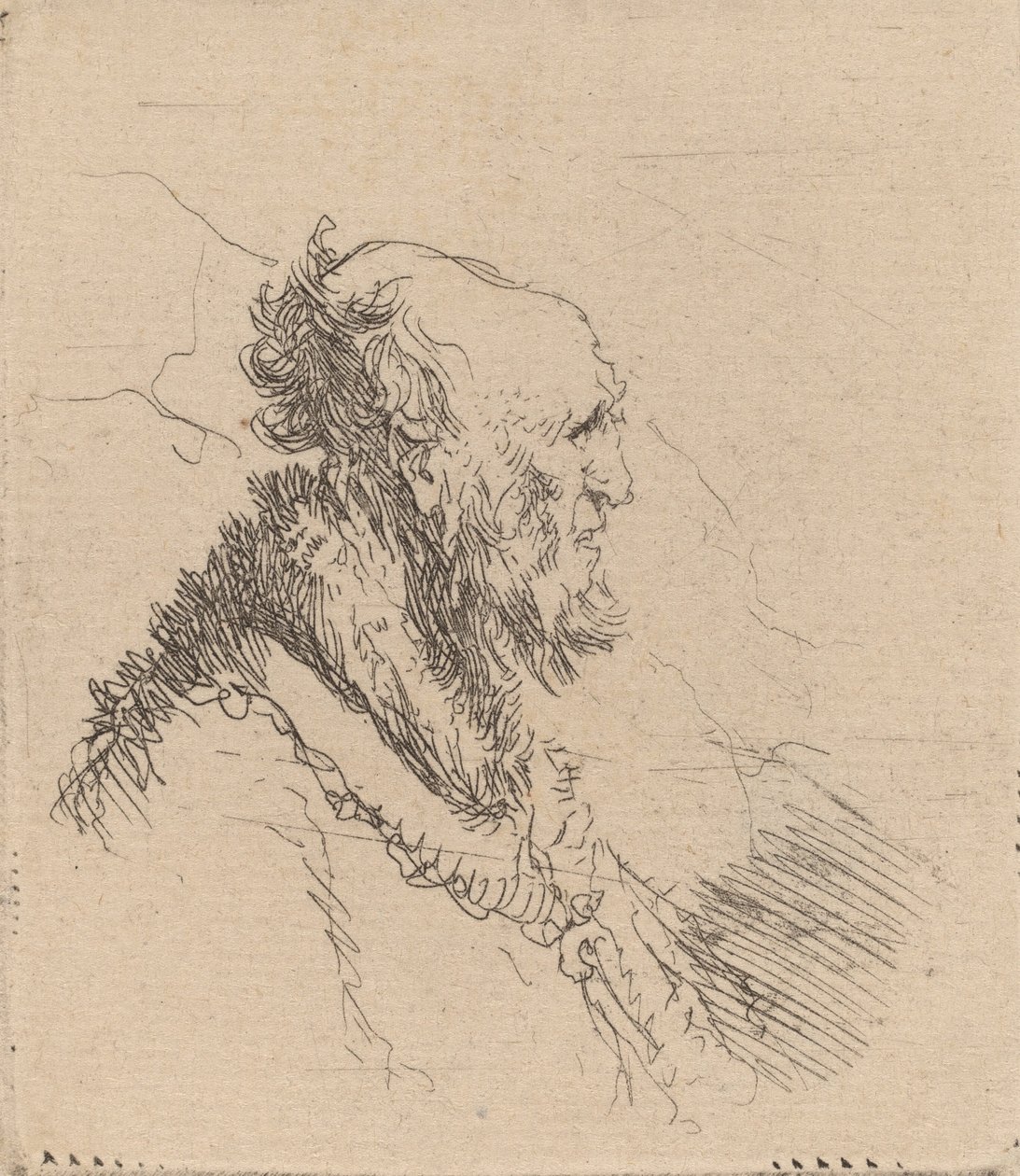 Velho careca com barba curta no perfil, c. 1635. de Rembrandt van Rijn