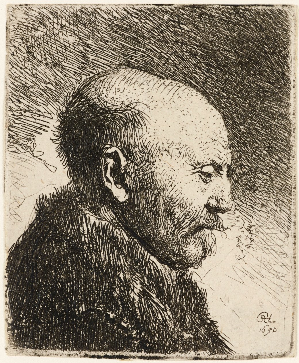 Homem careca de perfil à direita: pai de Rembrandt 1630. de Rembrandt van Rijn