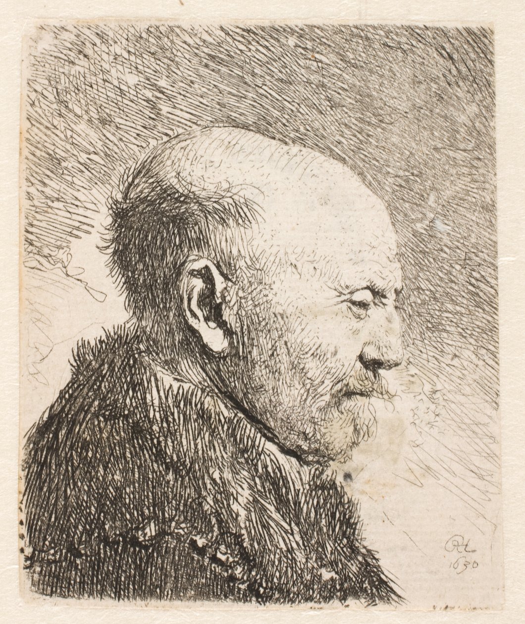 Careca de perfil (pai de Rembrandt?) de Rembrandt van Rijn