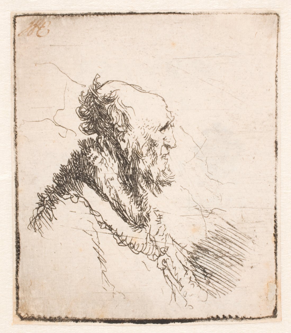 Velho careca com barba curta, de perfil direito de Rembrandt van Rijn
