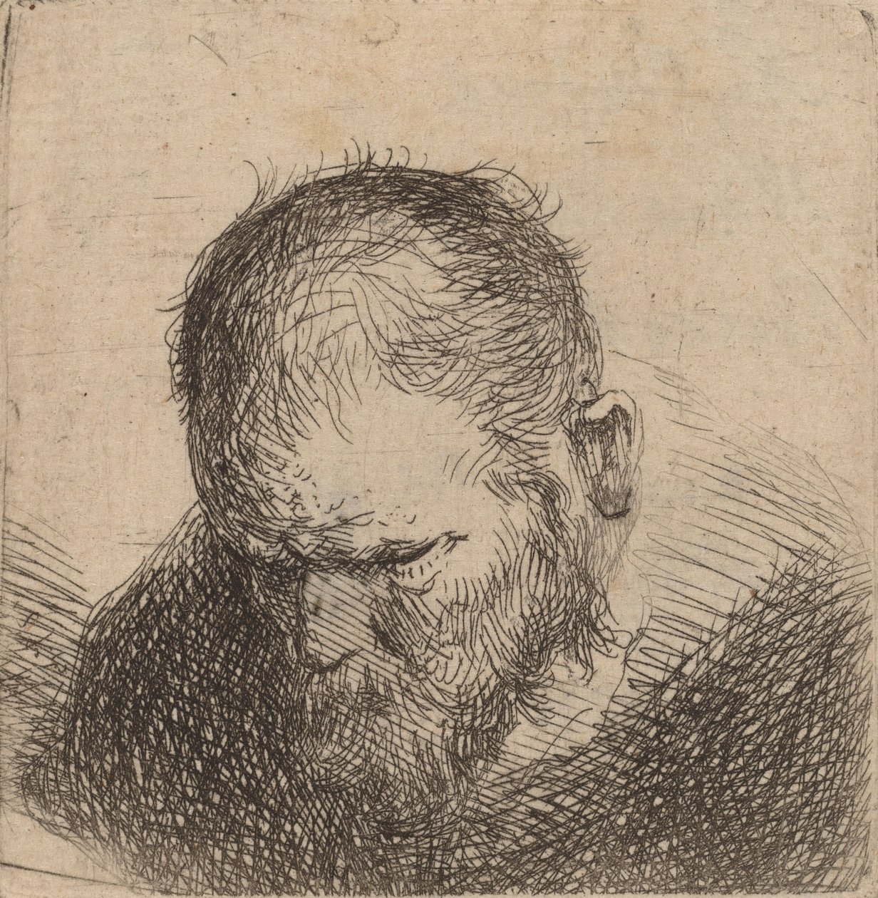 Homem barbudo olhando para baixo, possivelmente 1631. de Rembrandt van Rijn