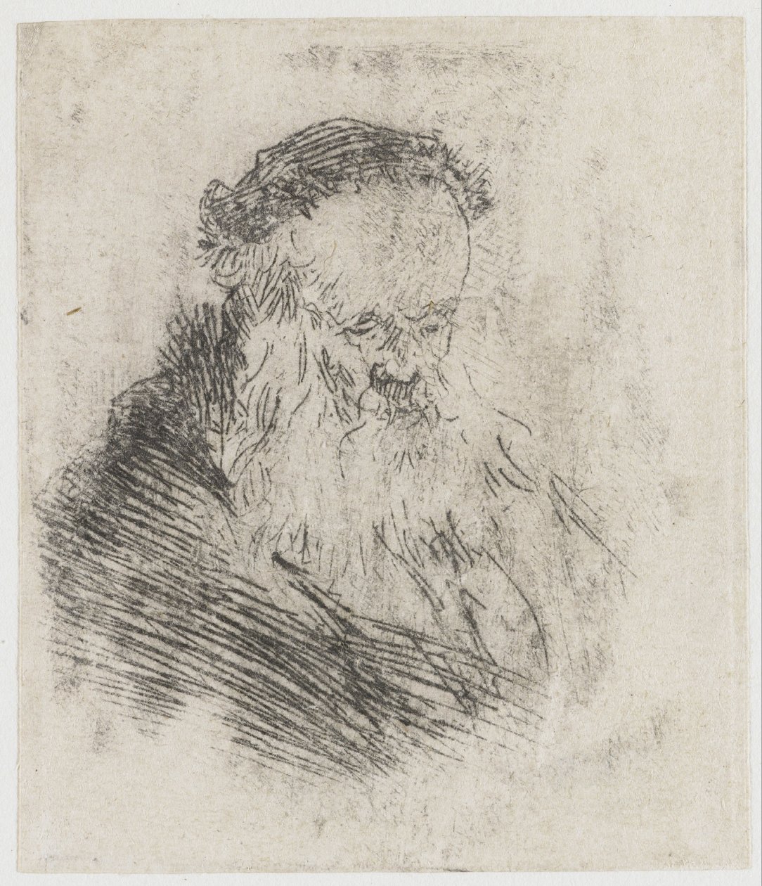 Ancião barbudo com testa alta de Rembrandt van Rijn