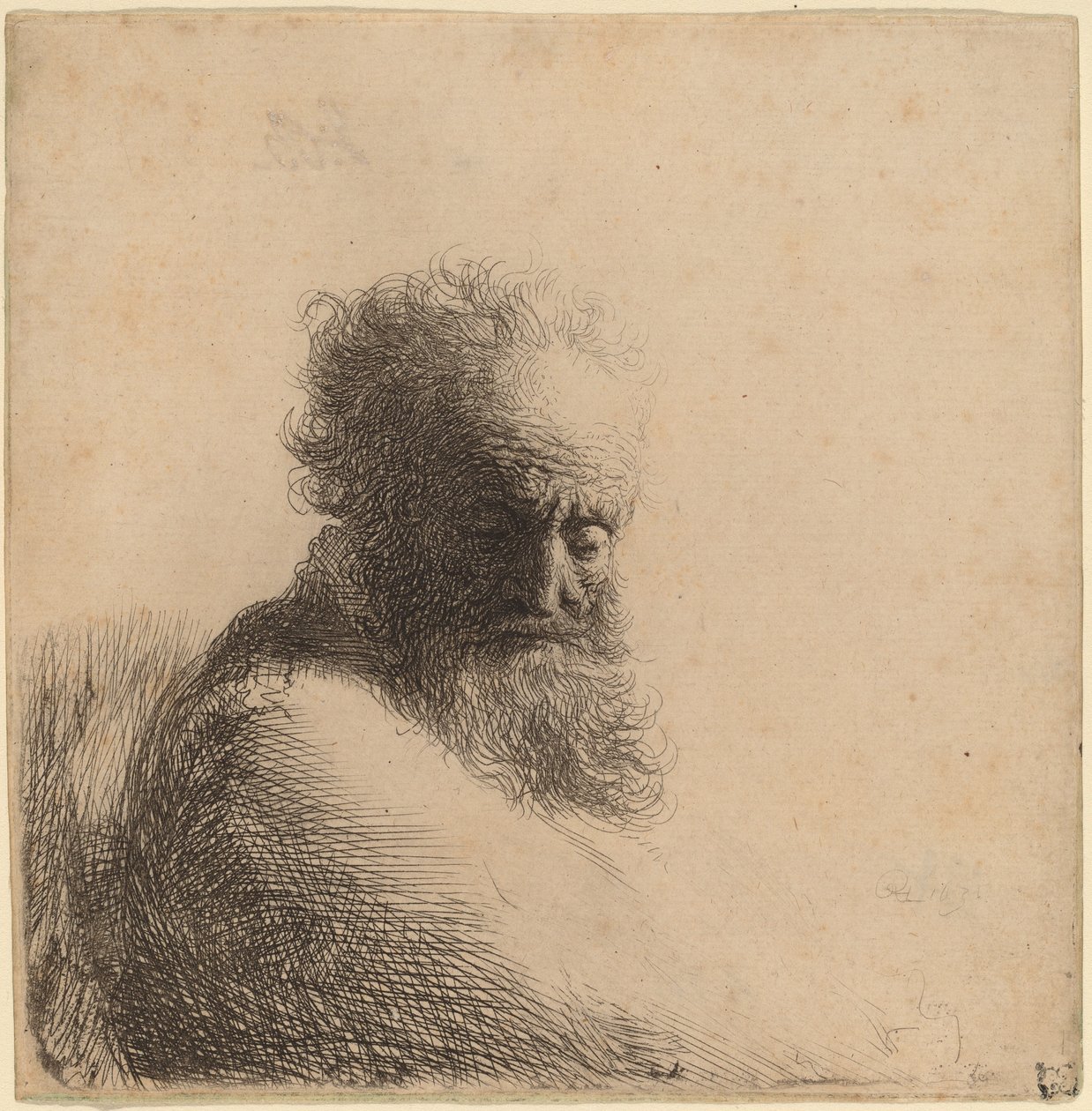 Busto de um velho barbudo, olhando para baixo, três quartos à direita de Rembrandt van Rijn