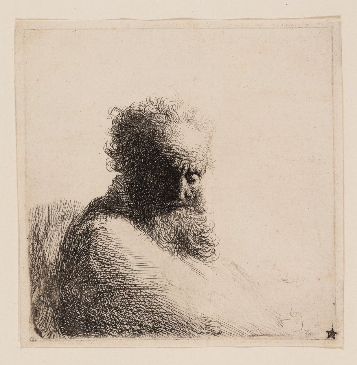 Busto de um velho barbudo, olhando para baixo, três quartos à direita de Rembrandt van Rijn