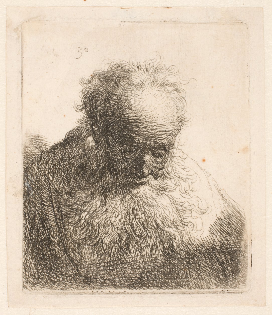 Busto de um homem idoso com barba esvoaçante: a cabeça inclinada para a frente: ombro esquerdo sem sombreado de Rembrandt van Rijn