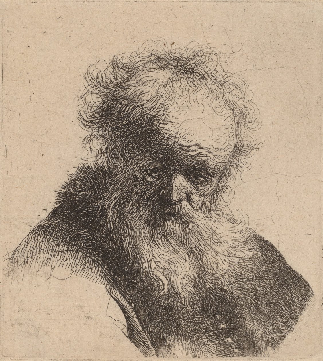 Busto de um velho com barba esvoaçante e manga branca, c. 1630. de Rembrandt van Rijn