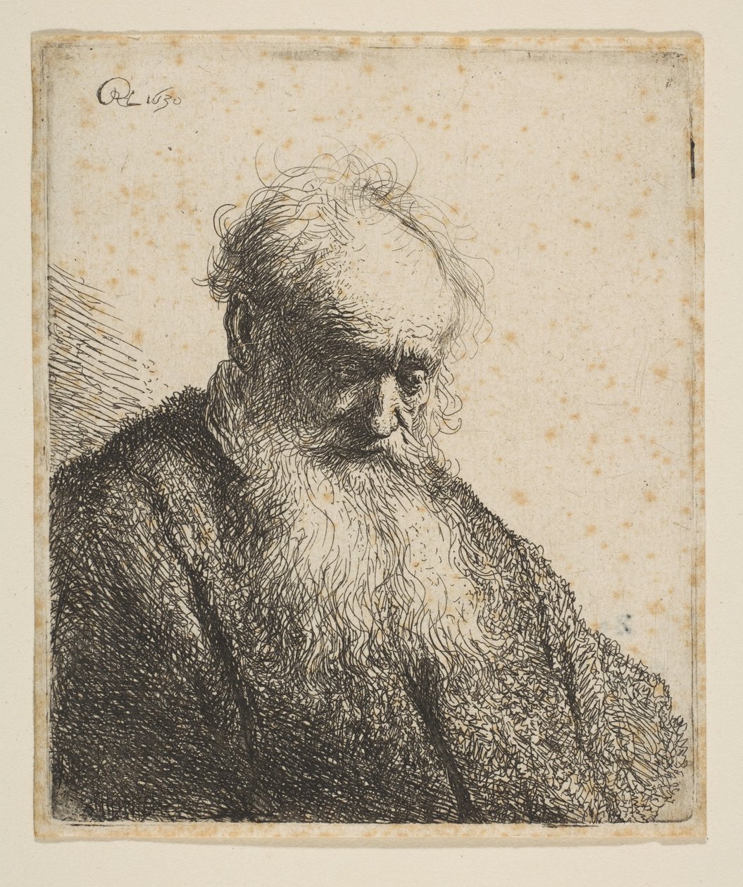 Busto de um velho com barba esvoaçante: a cabeça inclinada três quartos à direita, 1630. de Rembrandt van Rijn