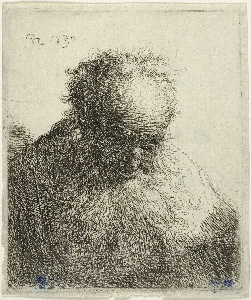Busto de um velho com barba esvoaçante: a cabeça inclinada para a frente: ombro esquerdo sem sombra de Rembrandt van Rijn