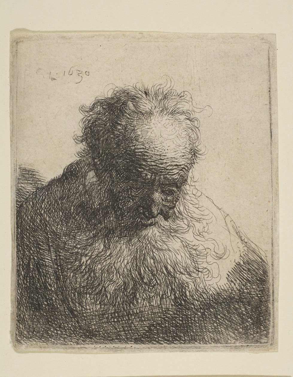 Busto de um velho com uma barba esvoaçante: a cabeça inclinada para frente: ombro esquerdo sem sombra, 1630. de Rembrandt van Rijn