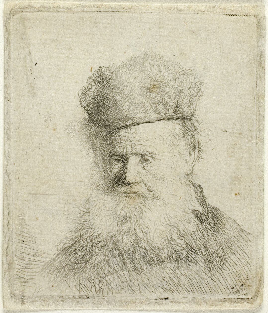 Busto de um velho com gorro de pele e barba esvoaçante, quase todo o rosto de Rembrandt van Rijn