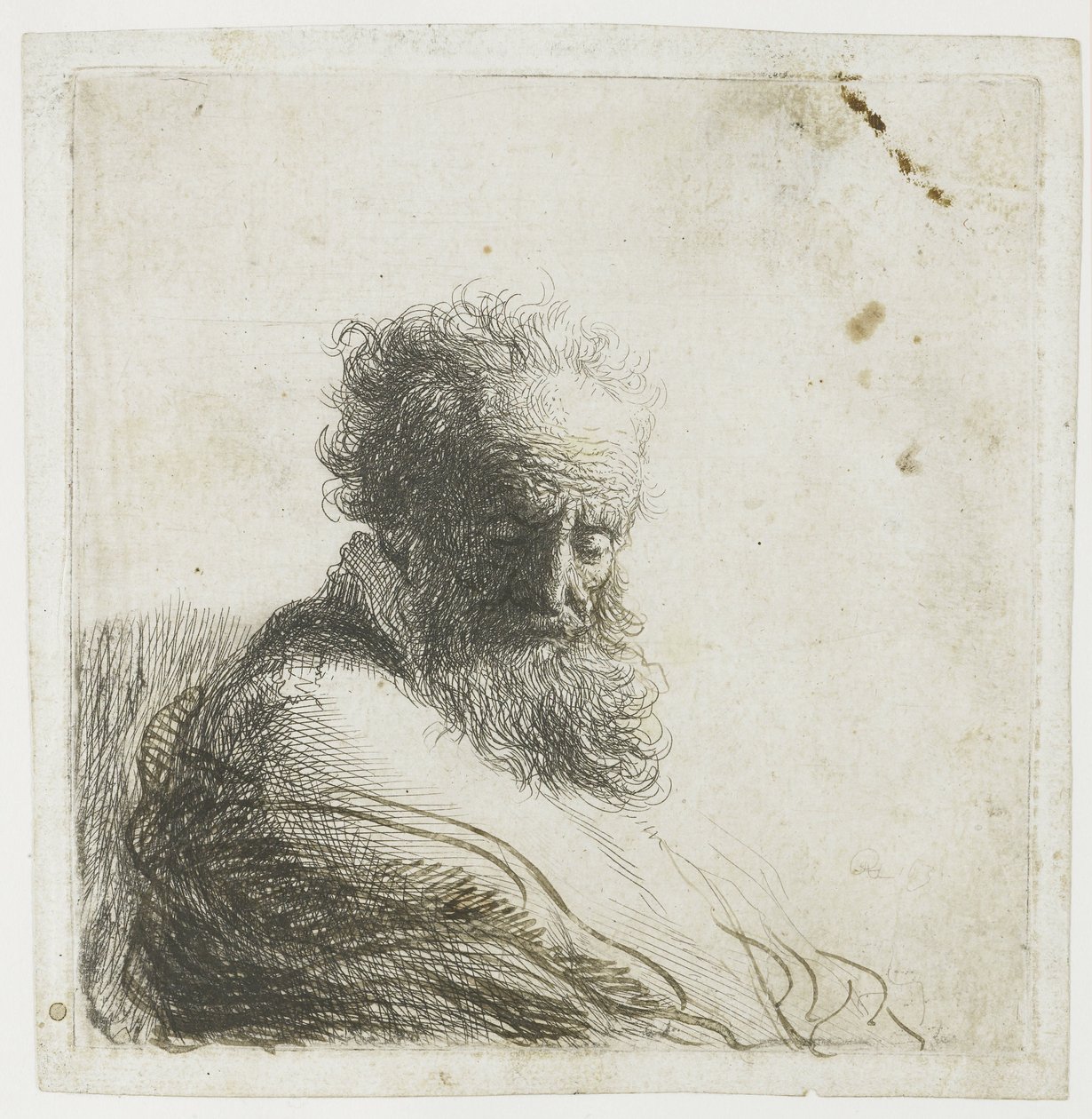 Busto de um velho barbudo, olhando para baixo, três quartos à direita de Rembrandt van Rijn