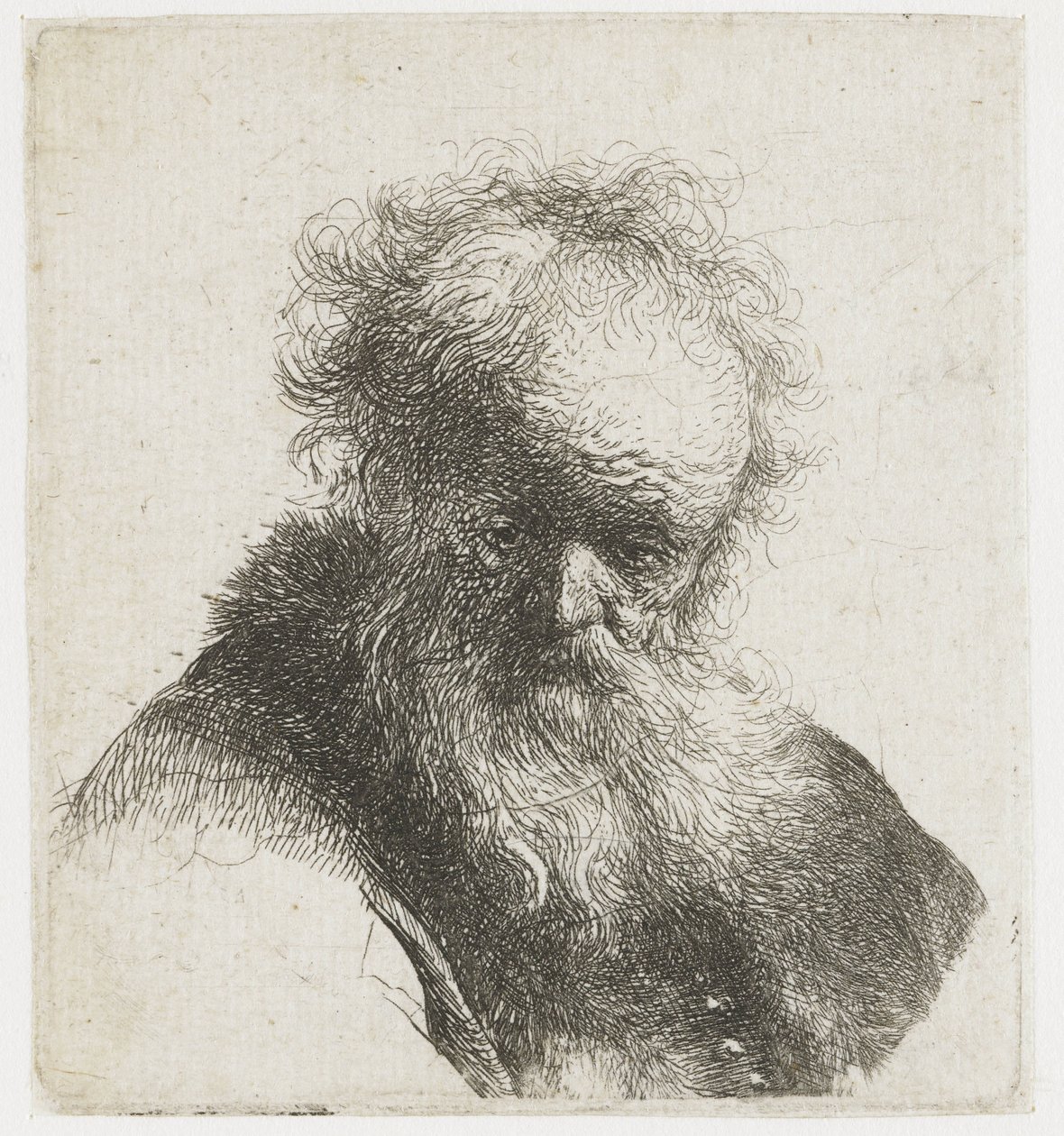 Busto de um homem velho com barba fluida e manga branca de Rembrandt van Rijn