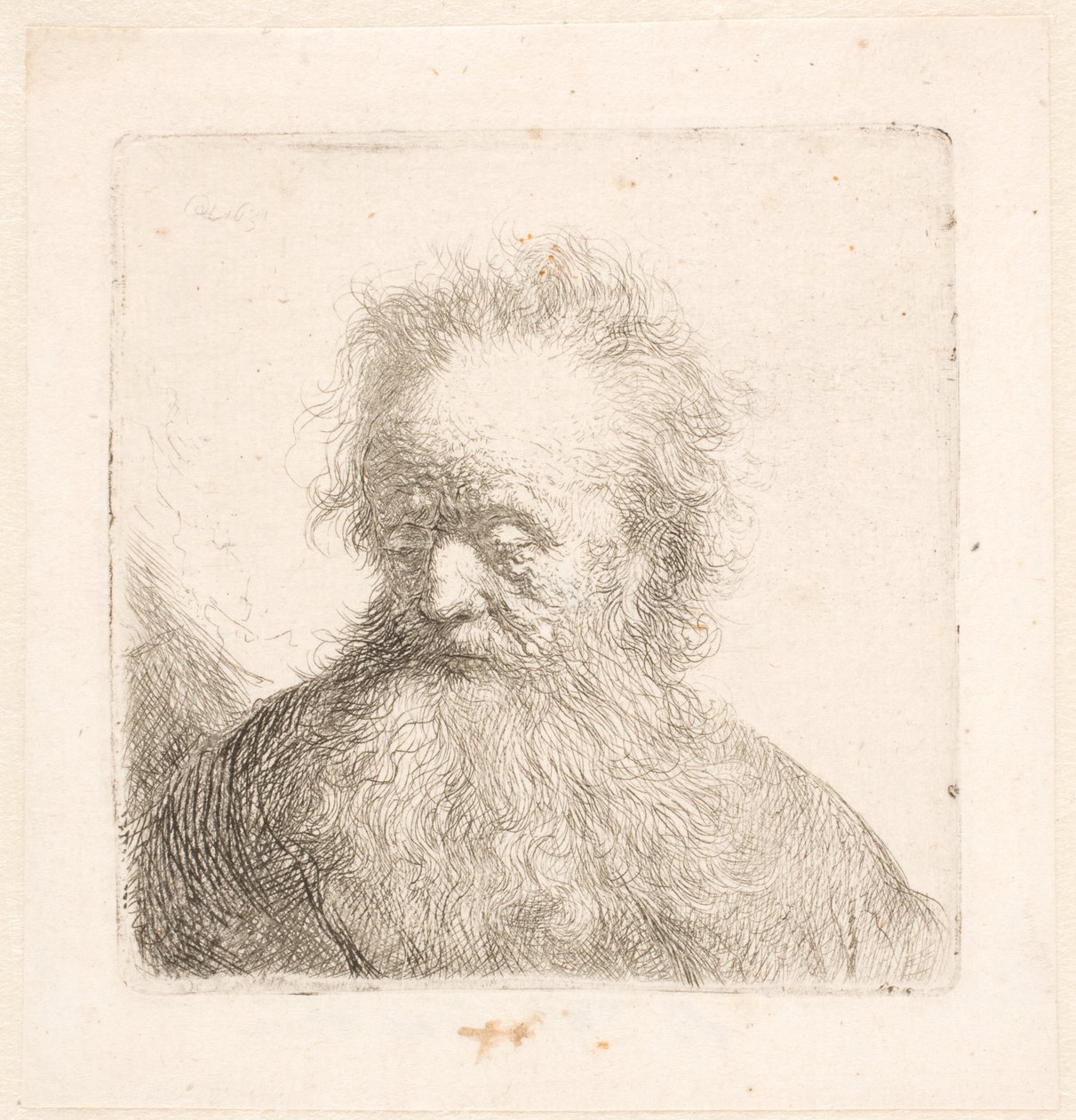 Busto de um homem idoso com barba esvoaçante: cabeça quase ereta; olhos baixos; o olhar ligeiramente virado para a esquerda de Rembrandt van Rijn
