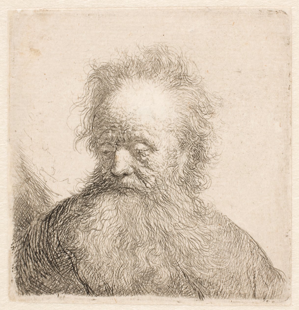 Busto de um homem idoso com barba esvoaçante: cabeça quase ereta; olhos baixos; o olhar ligeiramente virado para a esquerda de Rembrandt van Rijn