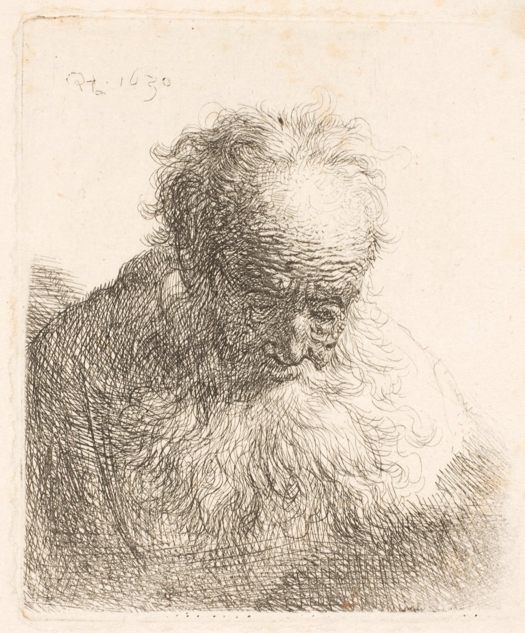 Busto de um homem idoso com barba esvoaçante: a cabeça inclinada para a frente; ombro esquerdo sem sombra de Rembrandt van Rijn