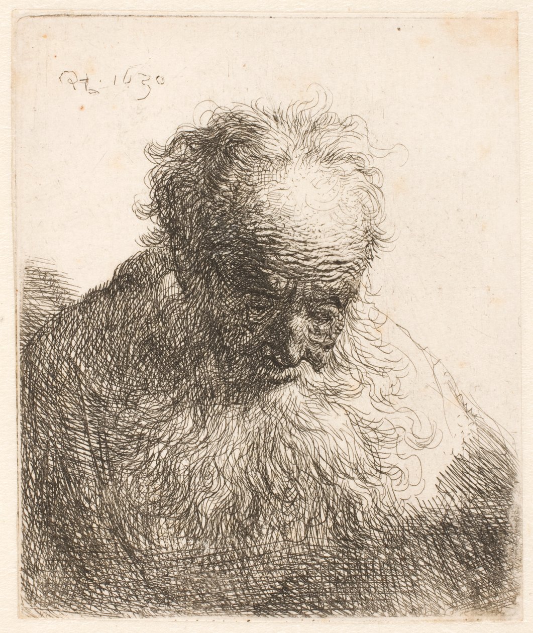 Busto de um homem idoso com barba esvoaçante: a cabeça inclinada para a frente; ombro esquerdo sem sombra de Rembrandt van Rijn