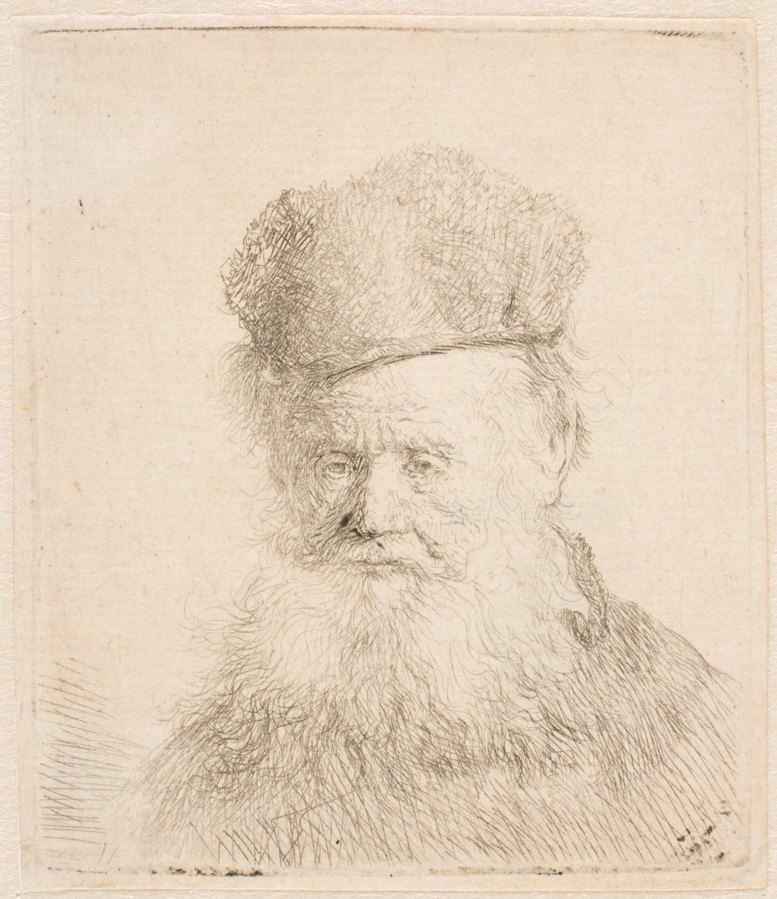 Busto de um homem idoso com gorro de pele e barba esvoaçante: quase de frente: olhar direto de Rembrandt van Rijn