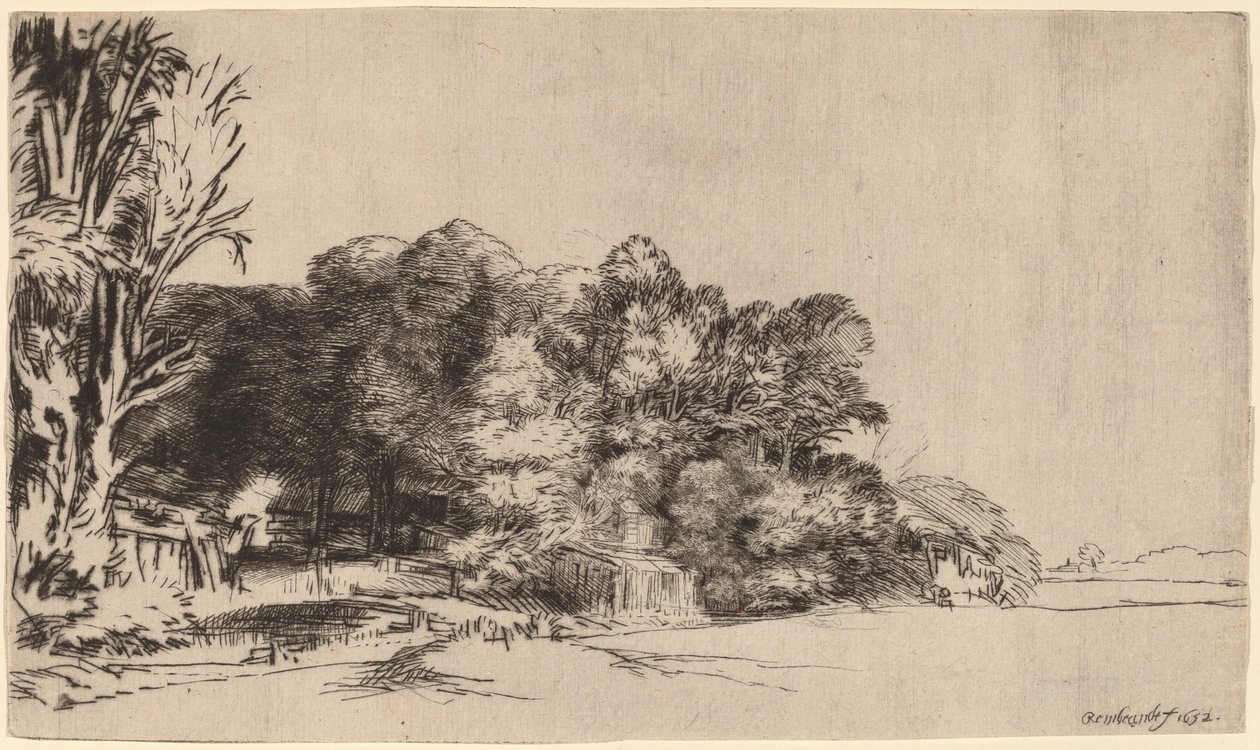 Clump of Trees with a Vista de Rembrandt van Rijn