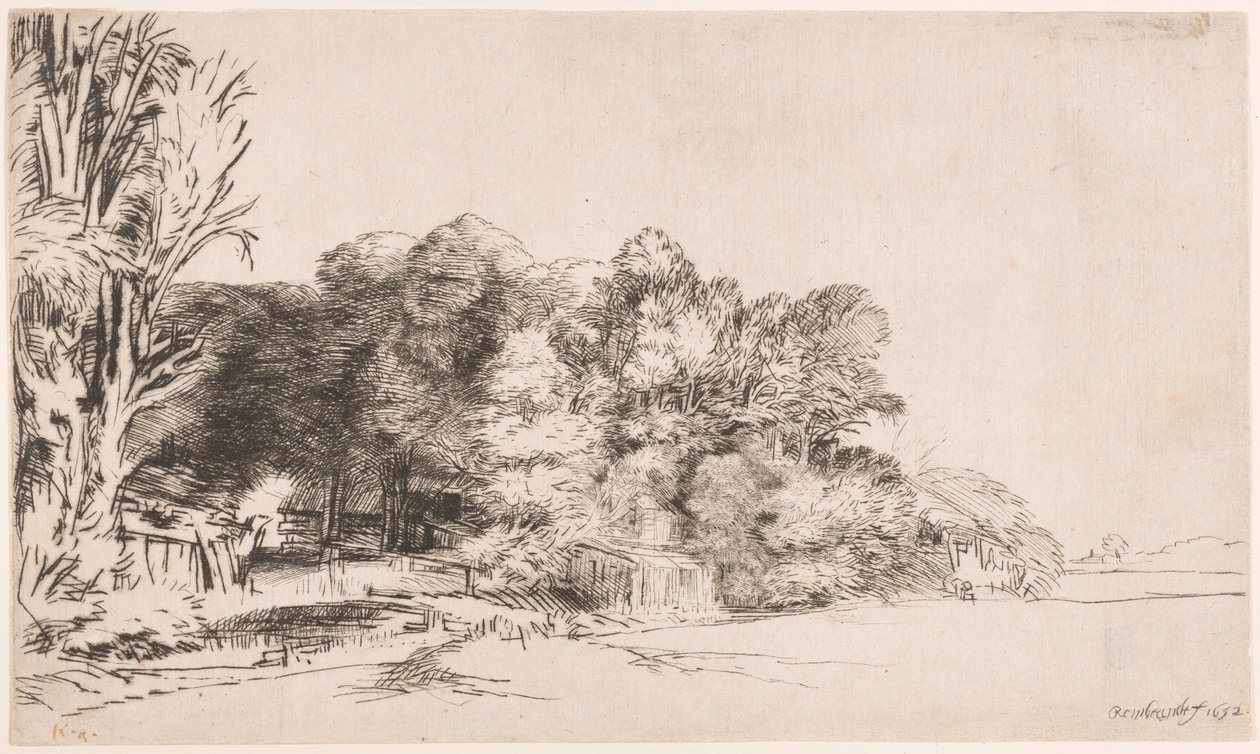 Grupo de árvores com vista de Rembrandt van Rijn