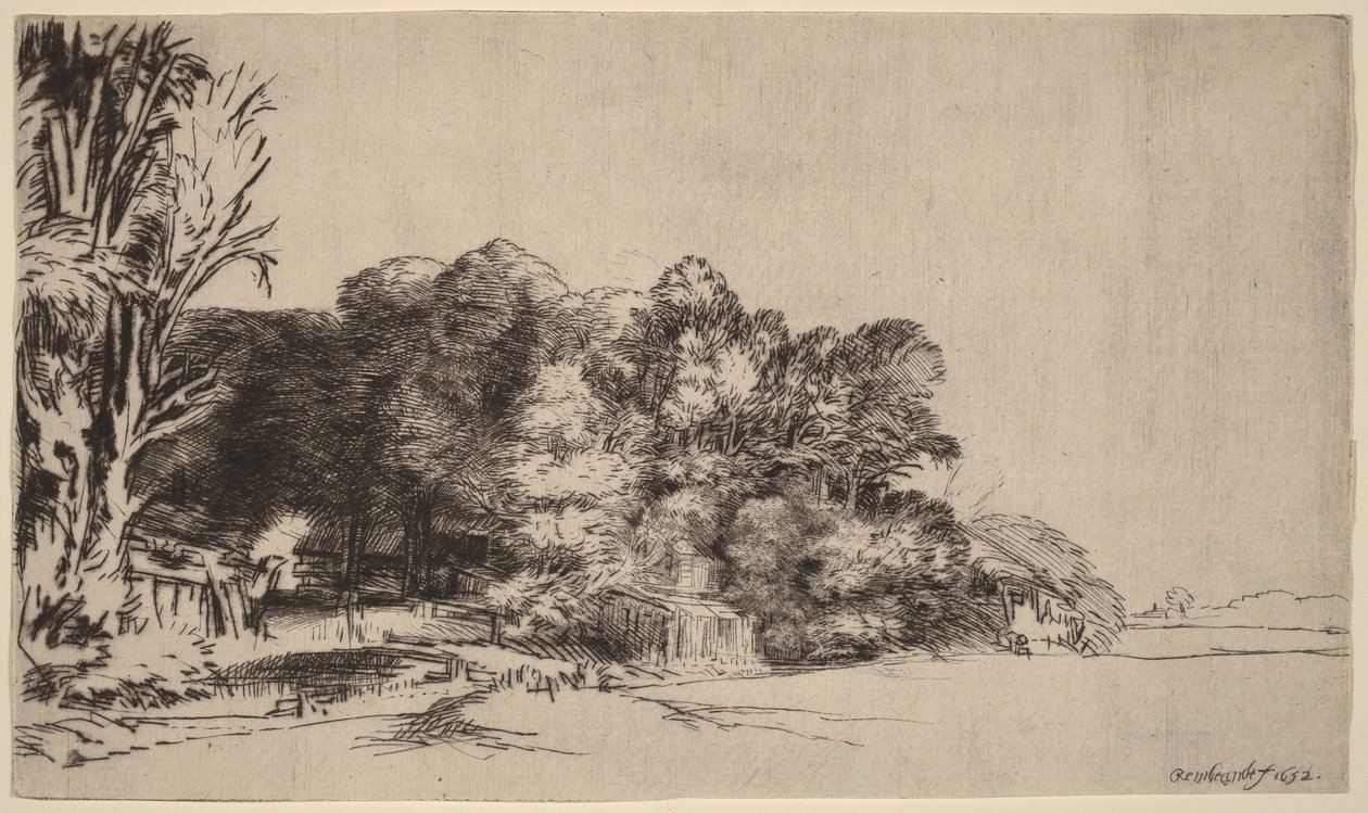 Grupo de árvores com uma vista panorâmica de Rembrandt van Rijn