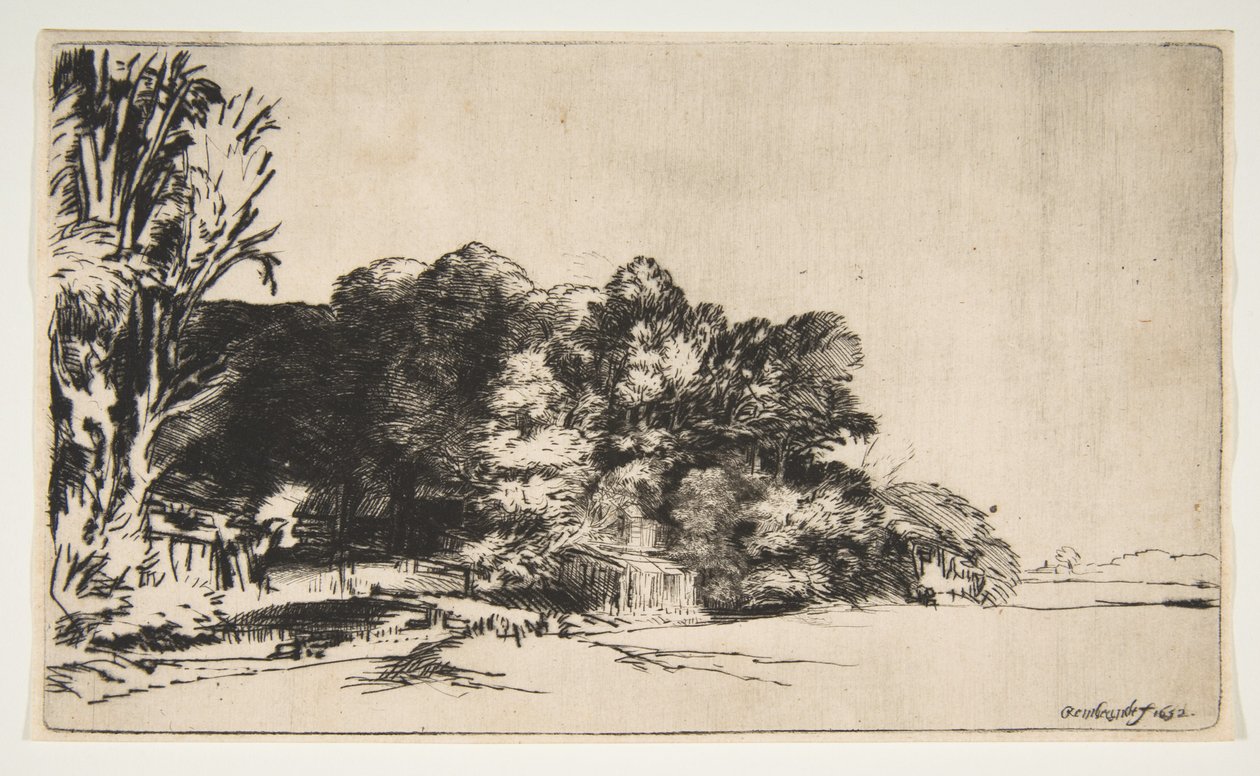 Grupo de árvores com um Vista, 1652. de Rembrandt van Rijn