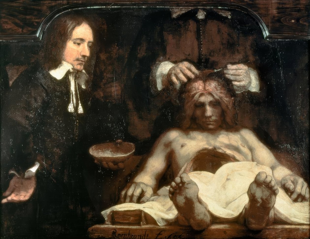 A anatomia do Dr. Ing. Johan Deijman de Rembrandt van Rijn