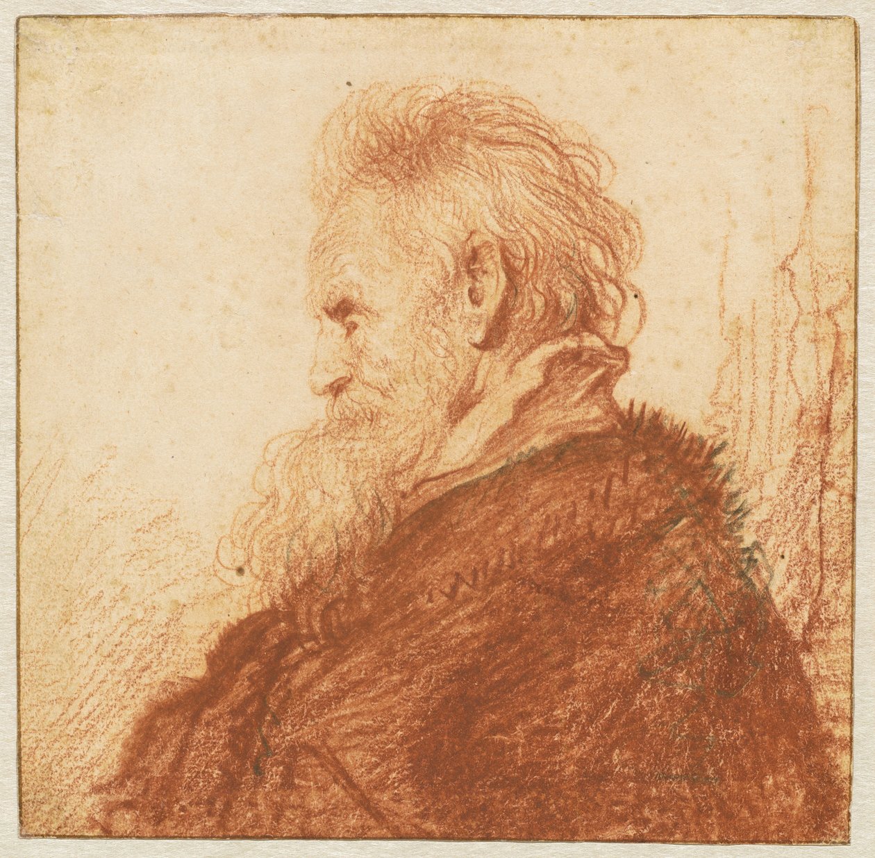 Cabeça de um Velho (reto) de Rembrandt van Rijn