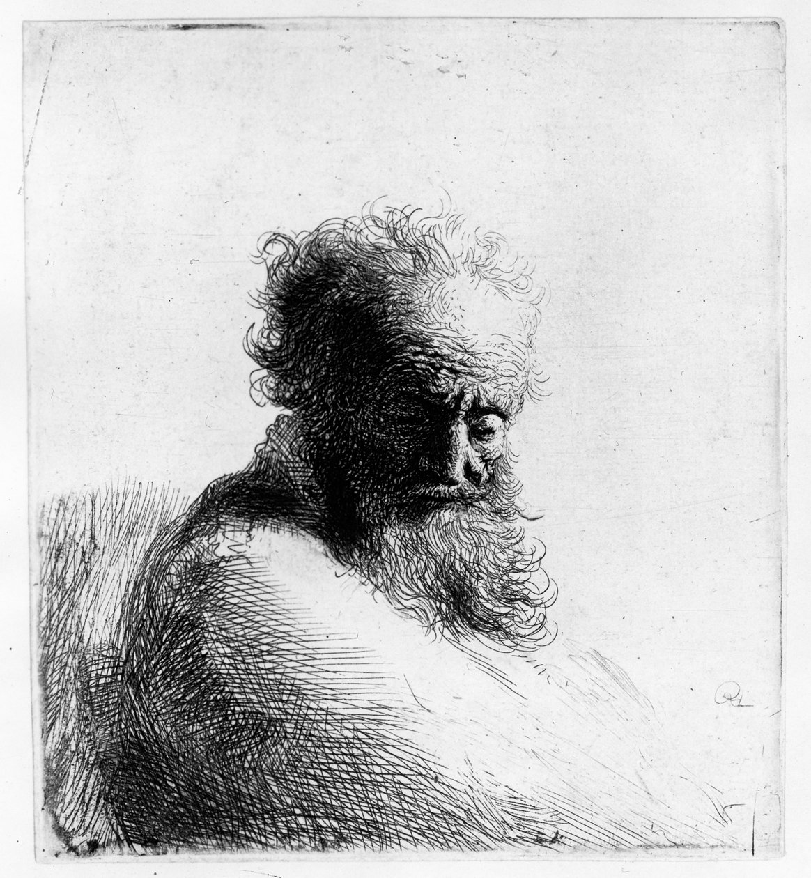 Cabeça de um homem velho, 1631 de Rembrandt van Rijn