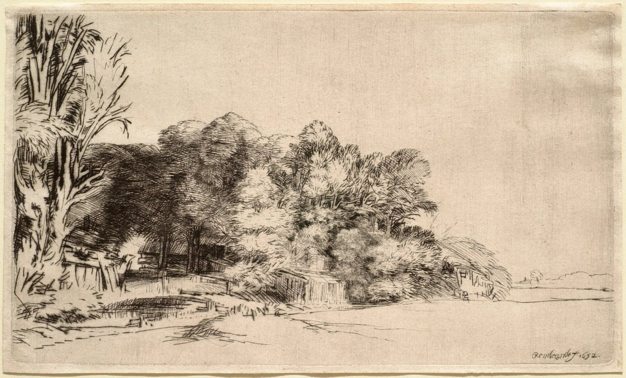 Paisagem com um grupo de árvores de Rembrandt van Rijn