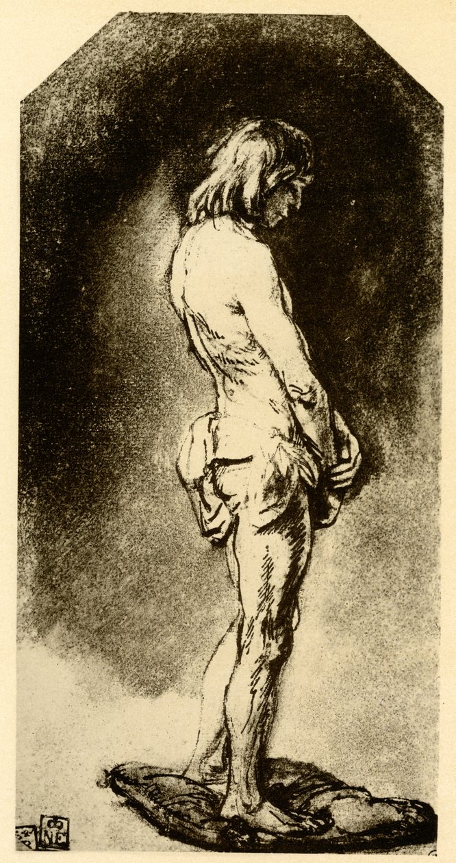 Macho nu de Rembrandt van Rijn