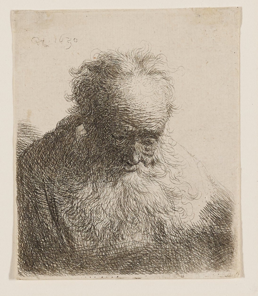 Ancião com barba esvoaçante (cabeça inclinada para a frente, ombro esquerdo sem sombreado) de Rembrandt van Rijn