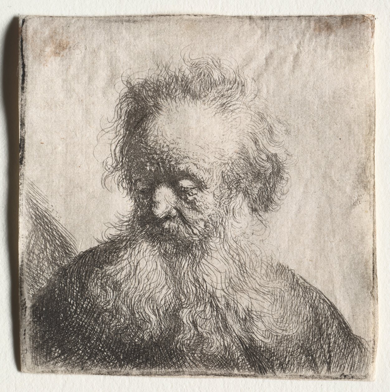 Velho com barba esvoaçante: busto de Rembrandt van Rijn