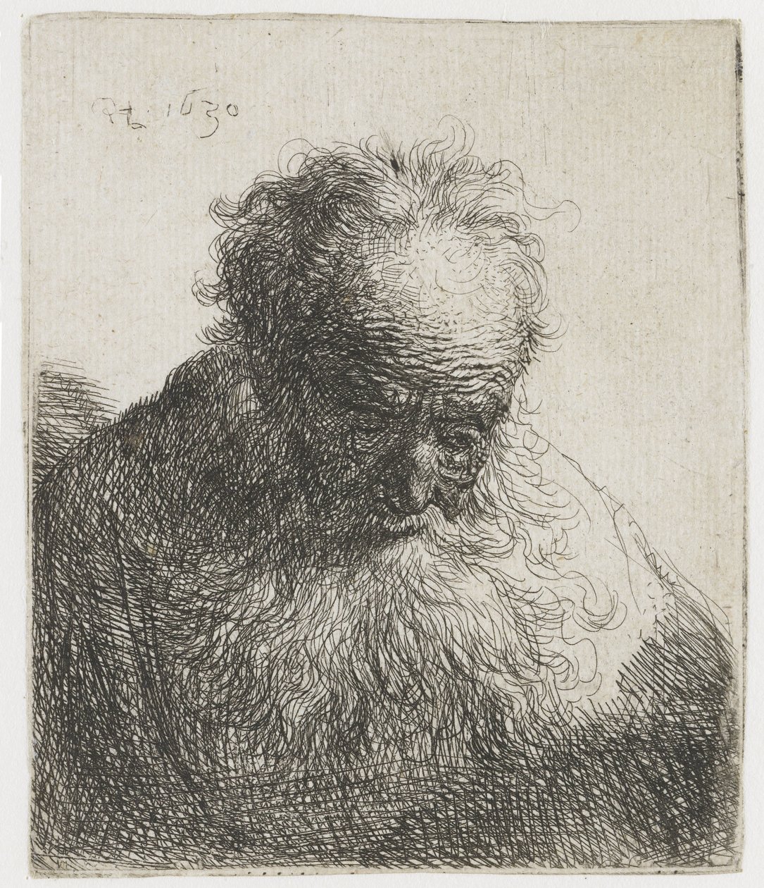 Velho com barba florida, o ombro esquerdo sem sombra
Busto de um homem velho com uma barba fluida: a cabeça curvada para a frente: ombro esquerdo sem sombras de Rembrandt van Rijn