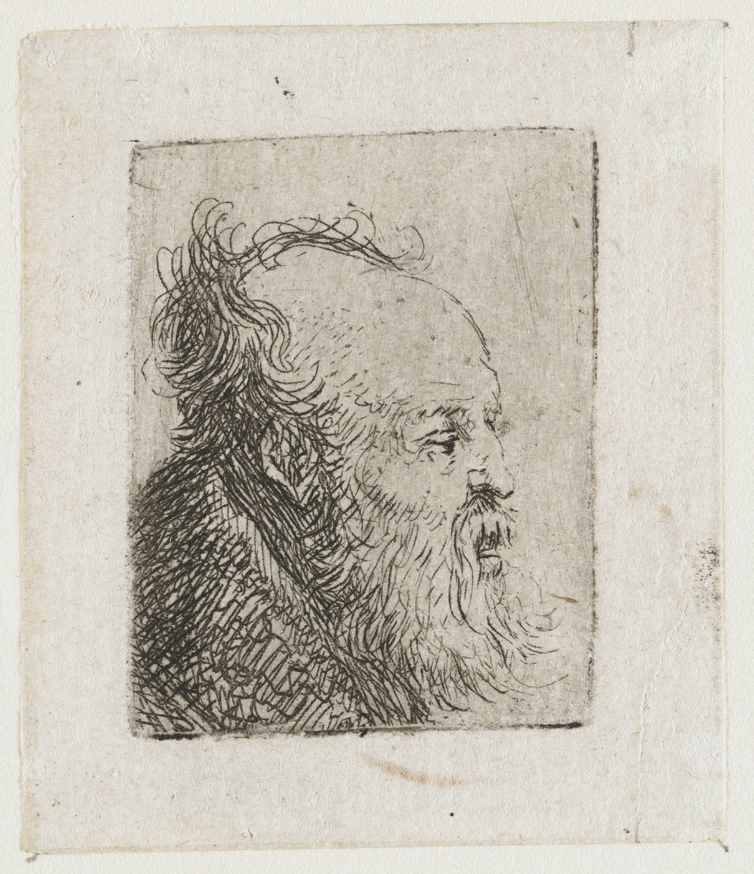 Um homem idoso com barba, com a boca entreaberta de Rembrandt van Rijn