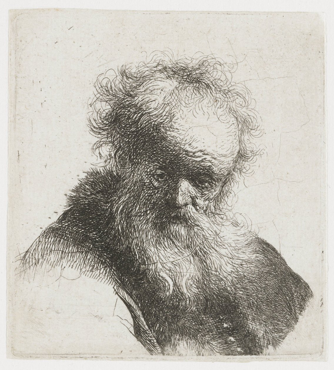 Ancião com barba comprida e manga branca de Rembrandt van Rijn
