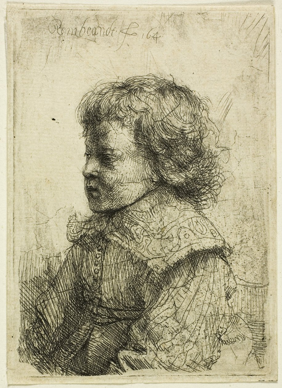 Retrato de um menino de Rembrandt van Rijn