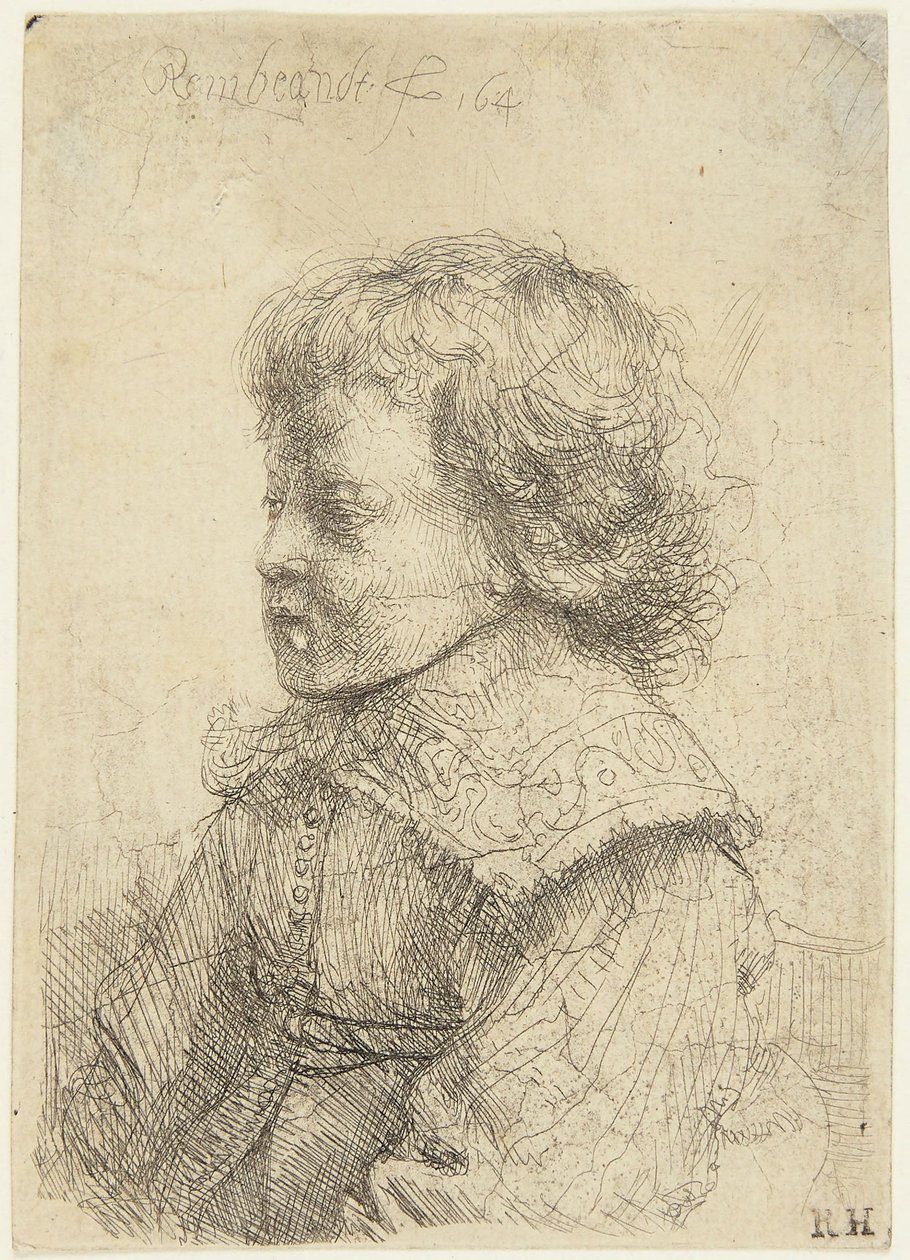 Retrato de um Rapaz de Rembrandt van Rijn