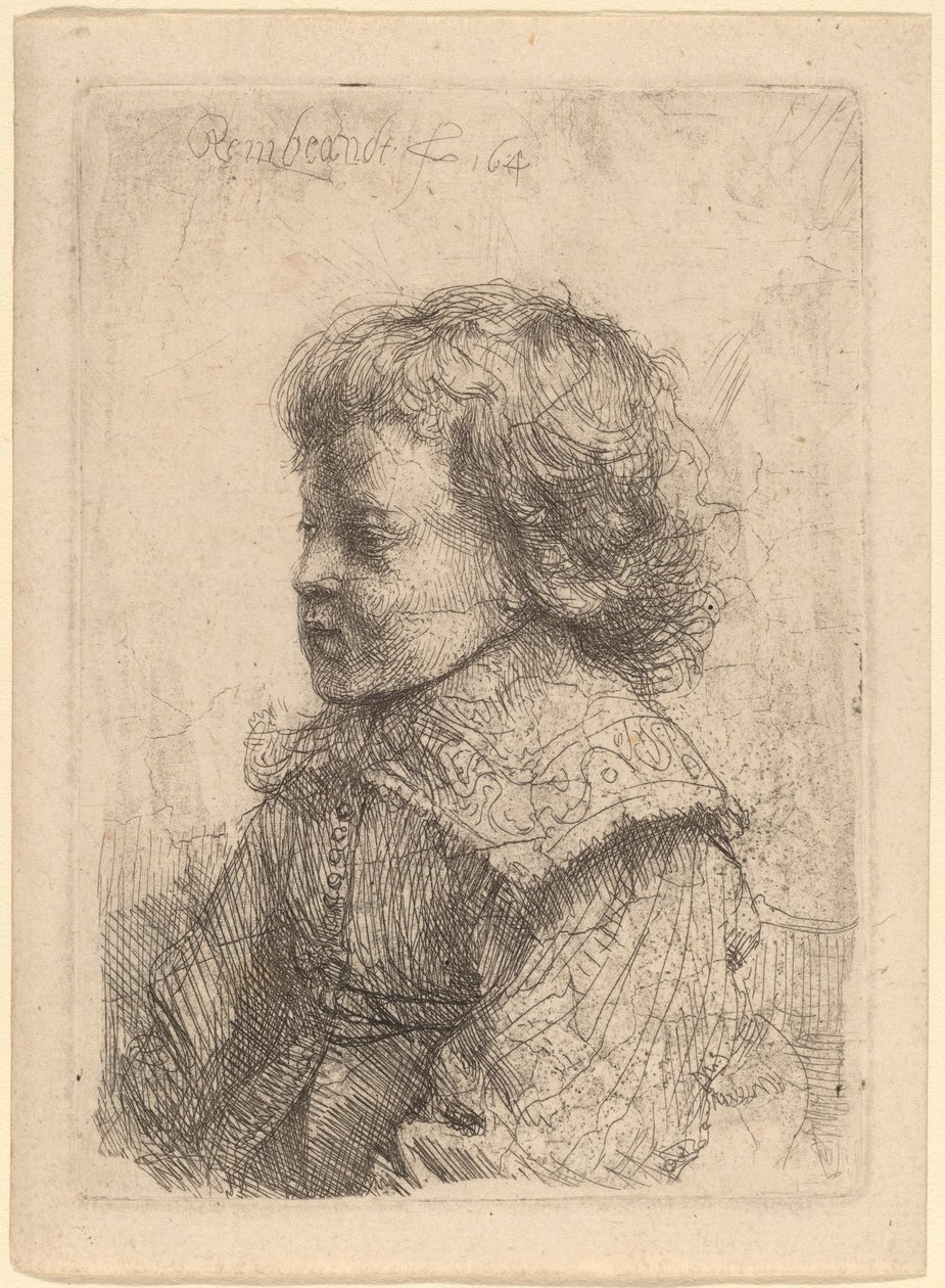 Retrato de um menino de perfil de Rembrandt van Rijn