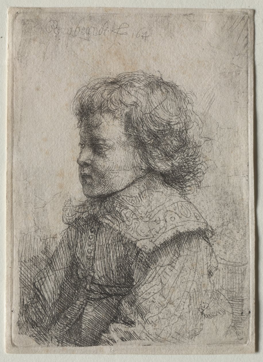 Retrato de um menino de perfil de Rembrandt van Rijn