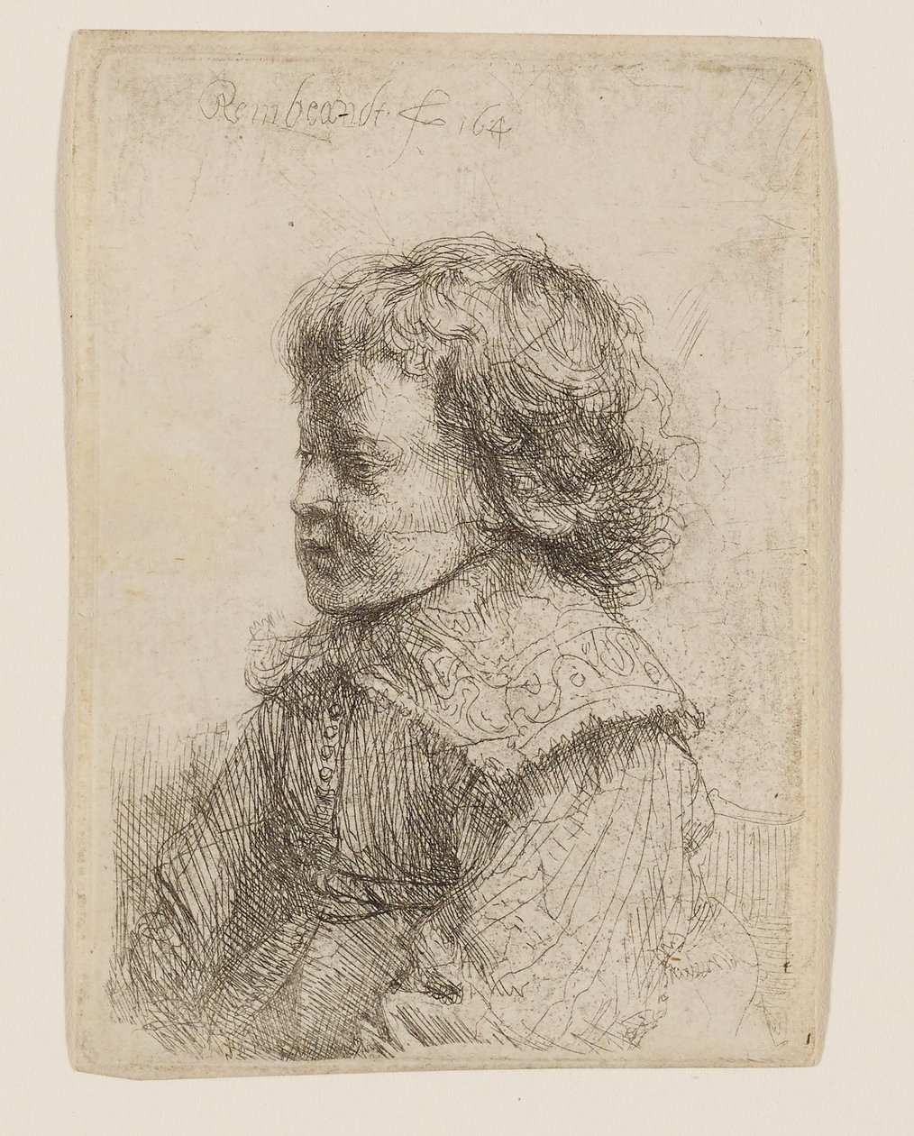Retrato de um rapaz de perfil de Rembrandt van Rijn